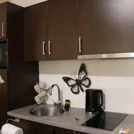 Mone Apartment *